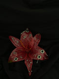 Pink Pierced Lily