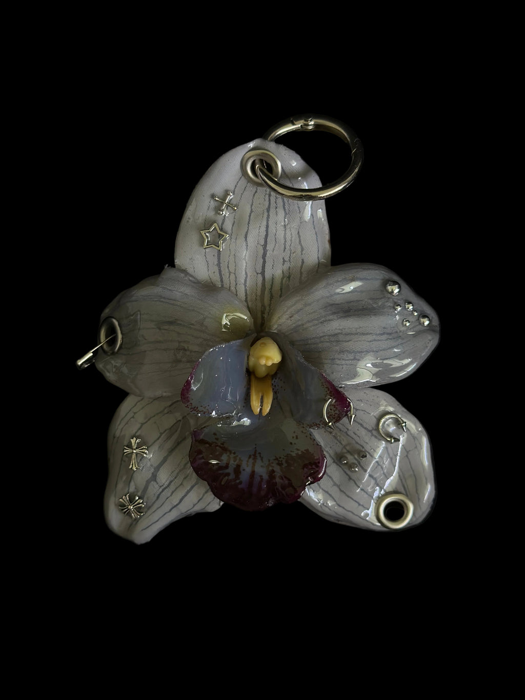 Gray Pierced Orchid