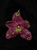 Dark Pink Orchid Pierced with Gold Hardware