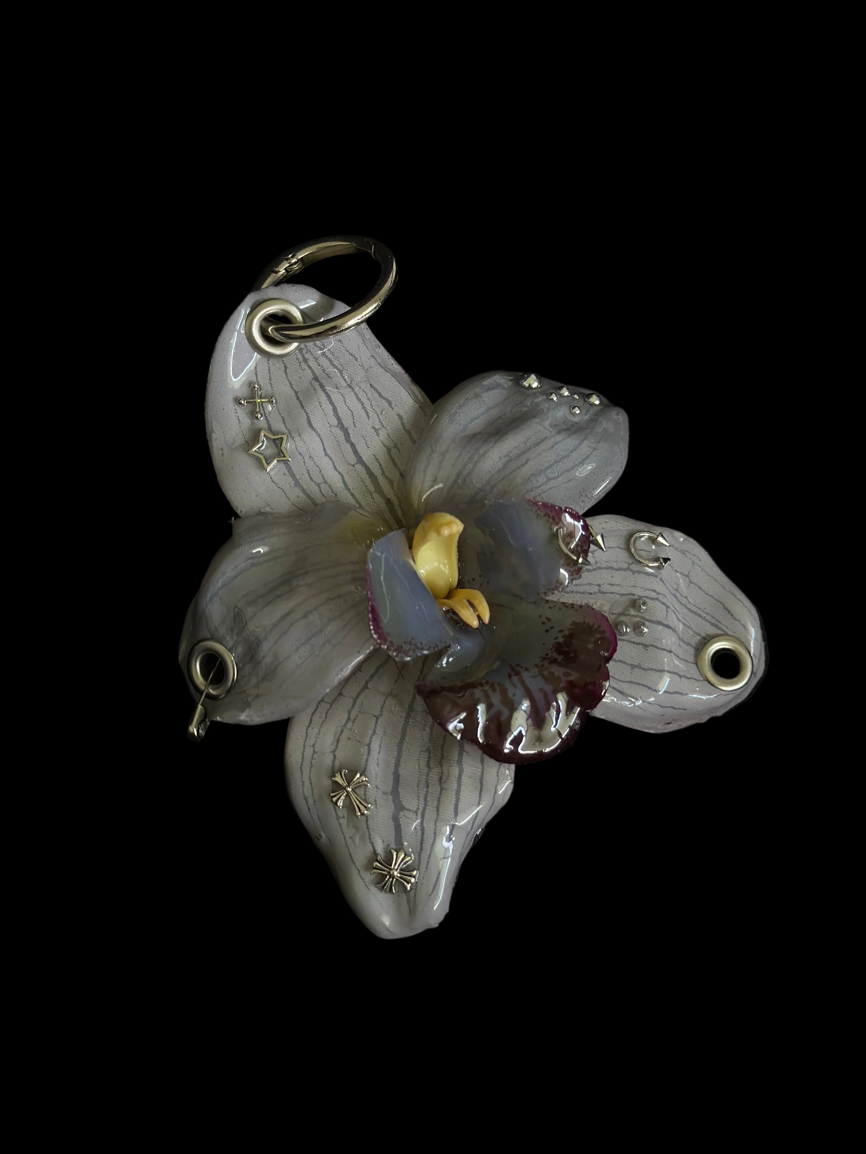 Gray Pierced Orchid